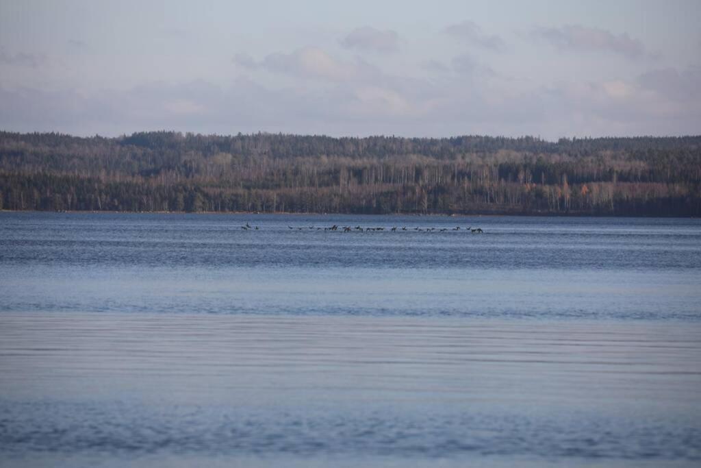 Sjoenaera Stuga Med Bat Och Bastu Ramkvilla Екстер'єр фото